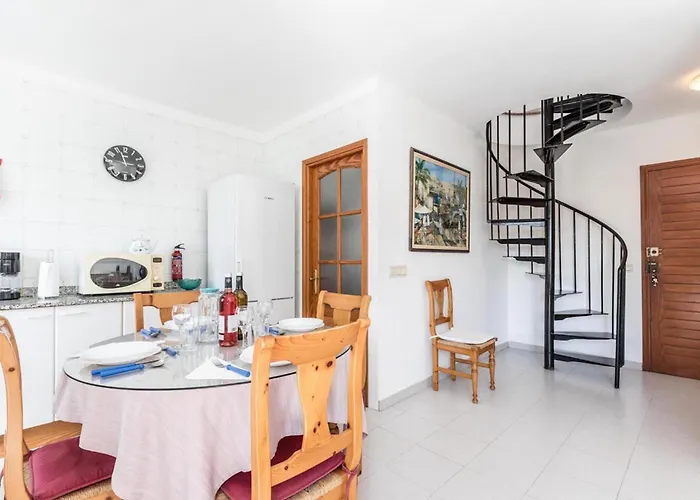 Xiprer Port de Pollença